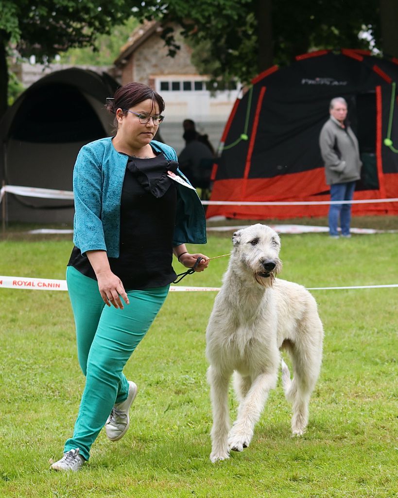 Tendancy promise Des Elflines De Gaelic