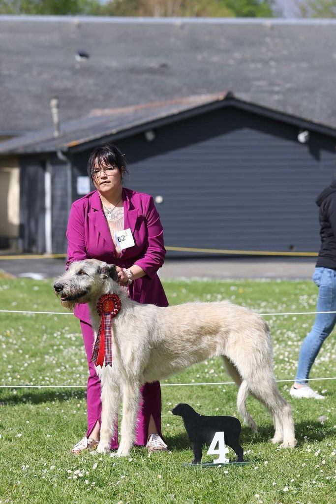 Tendancy promise Des Elflines De Gaelic