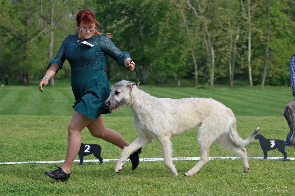 Tendancy promise Des Elflines De Gaelic