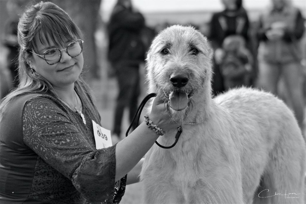 Tendancy promise Des Elflines De Gaelic