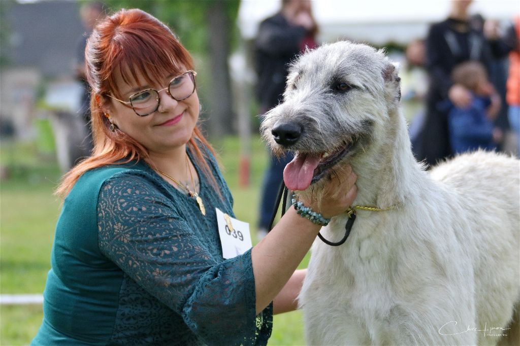 Tendancy promise Des Elflines De Gaelic